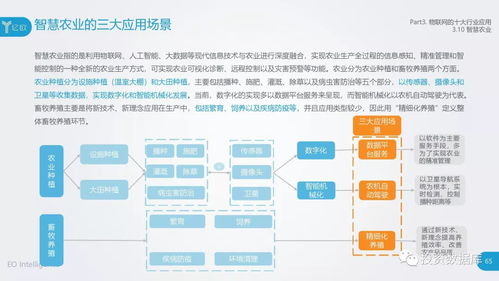 2018中國物聯(lián)網(wǎng)應(yīng)用研究報告 服務(wù)賦能，連接未來